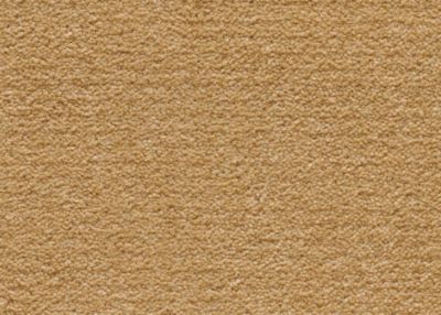 Mohawk Group Spectrum V 36 Bronze Haze SPCTRNZHZ
