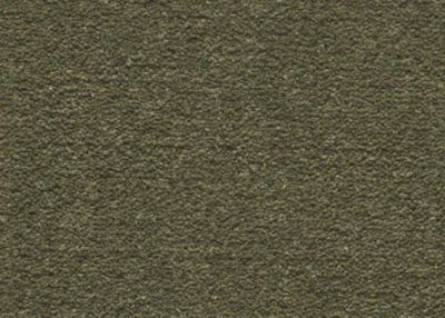 Mohawk Group Spectrum V 36 Dried Thyme SPCTRDTHYM
