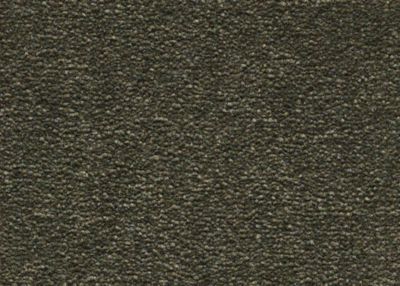 Mohawk Group Spectrum V 36 Eucalyptus Leaf SPCTRPTSLF