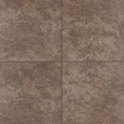 Mohawk Ceramic Brown T810F-AN36-12×9-FieldTile-Ceramic