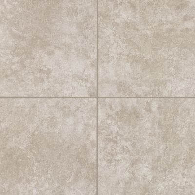 Mohawk Ascoli Floor Ceramic Grey T810P-AN35-18×18-FieldTile-Ceramic