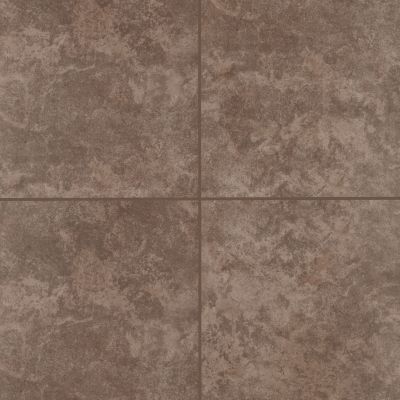Mohawk Ascoli Floor Ceramic Brown T810P-AN36-18×18-FieldTile-Ceramic