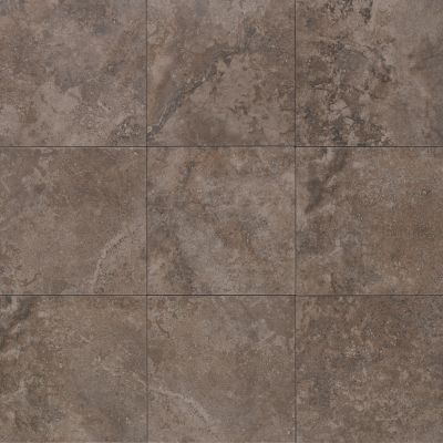 Mohawk Porcelain Russet T813F-SE99-18×18-FieldTile-Porcelain