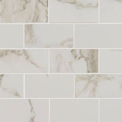 Pietra MSI Tile  Stone Calacatta NPIECAL2X4P-N