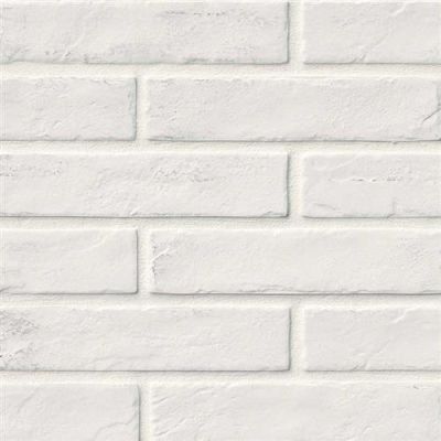 MSI Brickstone White – 2×10 NCAPWHIBRI2X10