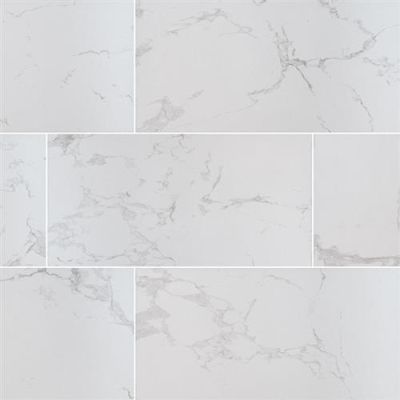 MSI Praia Carrara – 12×24 Polished NPRACAR1224P