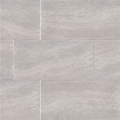 MSI Praia Grey – 12×24 Polished NPRAGRE1224P