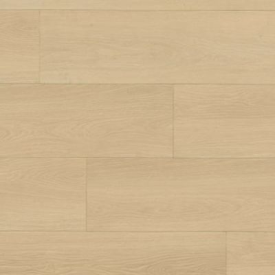 MSI Shorecliffs Houston Trail VTLHOUTRA9X87