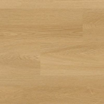 MSI Laurel Bayside Buff VTRBAYBUFF9X48