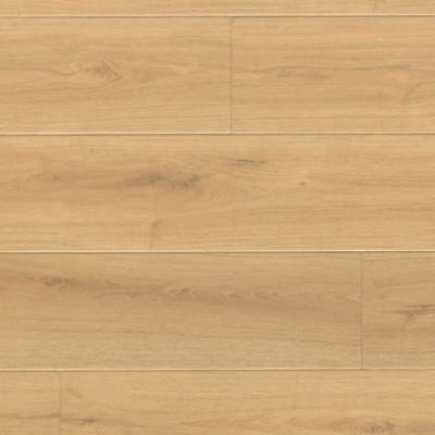 MSI Wayne Parc Elwood VTRELWOOD9X60