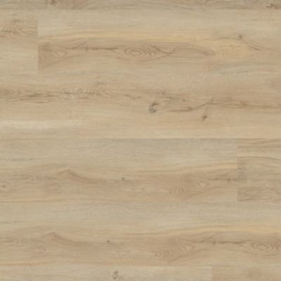 MSI Laurel Reserve Honey Hollow VTRHONHOL9X48