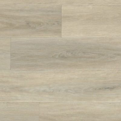 MSI Wayne Parc Waldron VTRWALDRO9X60