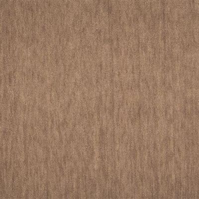 Nourison Grand Velvet Pt99 Hazelnut 1-PT99HAZELBR1309WV