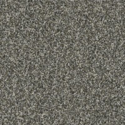 Shop Phenix Red Canyon Boundary St176 952 Carpet Direct Carpet Unlimited