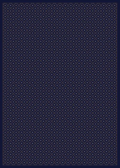 Radici USA Como Contemporary Navy 3’3″ x 4’11” 7821310NAVY
