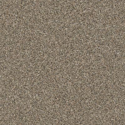 Monte Carlo Shaw Floors  Value Collections Gold Rush 00200-5E433