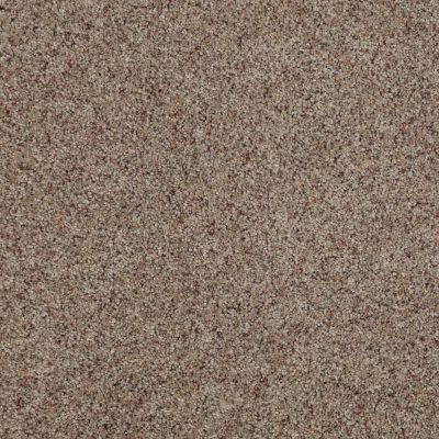 Anderson Tuftex Entirely Becoming II Buckshot 0521B_005CL
