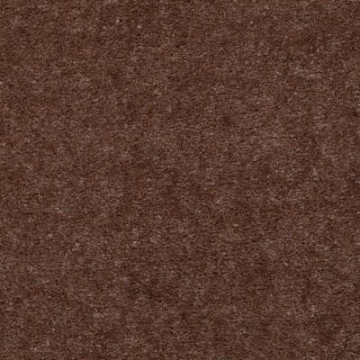 Shaw Floors Queen Patcraft Clipper Buffalo Herd 02035_01207