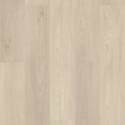 Shaw Floors Resilient Residential Paladin Plus Silver Dollar 01055_0278V