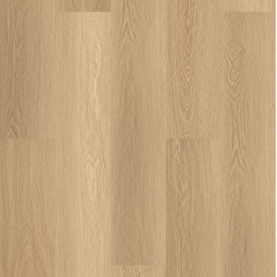 Shaw Floors Resilient Residential Paladin Plus Castaway 07087_0278V