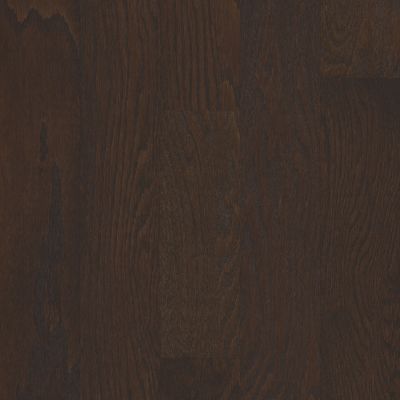 Shaw Floors SFA Arden Oak 5 Chocolate 07011_SA490