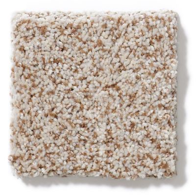 Anderson Tuftex Vercelli Wheat 02DDF_00212