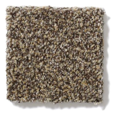Anderson Tuftex Vercelli Taupe 02DDF_00728