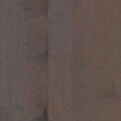 Shaw Floors Repel Hardwood Alpine Hickory Dogwood 05081_SW710