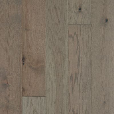 Shaw Floors Repel Hardwood Exploration Oak Journey 05094_SW713