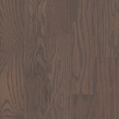 Shaw Floors Shaw Hardwoods Albright Oak 5 Weathered 00543_SW582