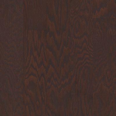 Shaw Floors Shaw Hardwoods Albright Oak 5 Coffee Bean 00938_SW582