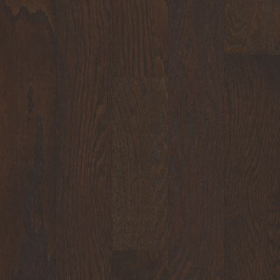Shaw Floors Shaw Hardwoods Albright Oak 5 Chocolate 07011_SW582
