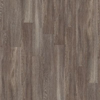 Shaw Floors Resilient Residential Columbia 12 Northwest 00728_0369V