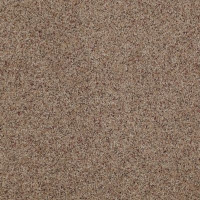 Anderson Tuftex SFA Noticeable I Cinnamon Toast 0722B_03SSF