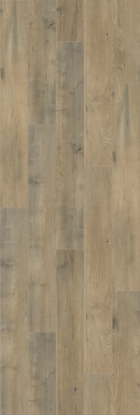 Shaw Floors Home Fn Gold Laminate Excalibur Plus Forge 01004_HL442