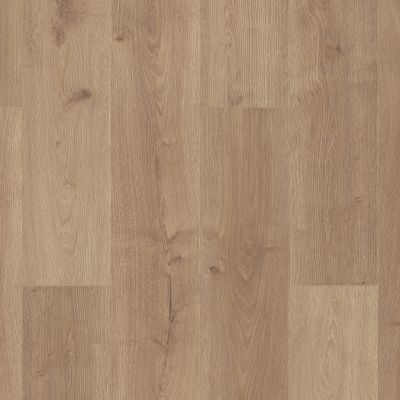Shaw Floors Home Fn Gold Laminate Connection Genuine 02025_HL447