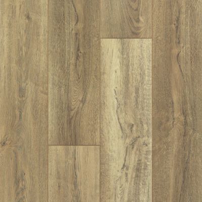 Shaw Floors Resilient Residential Mojave HD Plus Foresta 00282_0461V