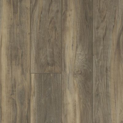 Shaw Floors Resilient Residential Mojave HD Plus Ardesia 00558_0461V