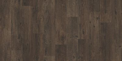 Shaw Floors Resilient Residential Coastal Plainii Wilderness 00736_0463V
