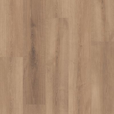 Shaw Floors PET PERFECT Komondor Amber Clay 07753_SL123