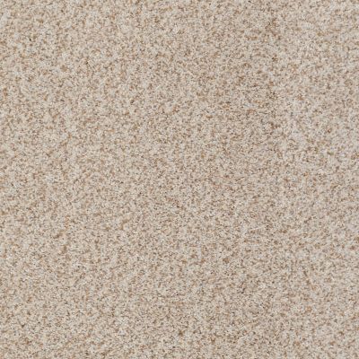 Anderson Tuftex SFA Eastridge Basalt 00165_04SSF