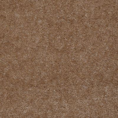 Shaw Floors Queen Alt B Profile Wagon Master 02213_05020