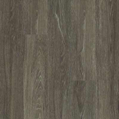 Resilient Residential All American Shaw Floors  Independence 00564_0799V