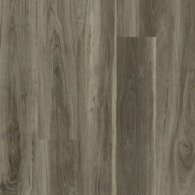 Shaw Floors Resilient Residential All American Liberty 00568_0799V