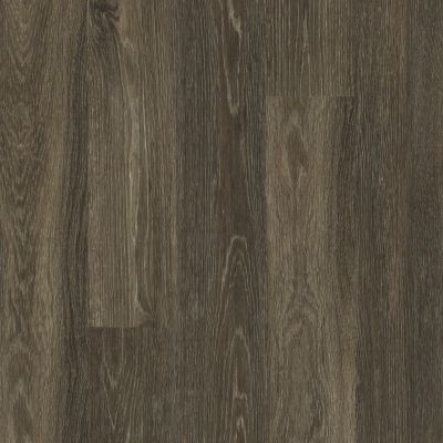 Resilient Residential All American Shaw Floors  Anthem 00774_0799V
