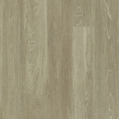 Shaw Floors Resilient Residential All American Patriot 00775_0799V