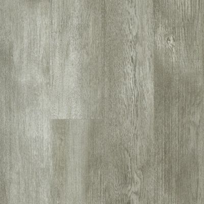 Shaw Floors Resilient Residential Three Rivers 12 Steel City 00174_0881V
