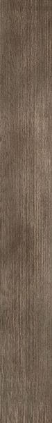 Shaw Floors Resilient Residential Three Rivers 20 Elmwood 00170_0882V