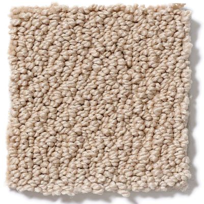 Shaw Floors SFA Danger Zone Champagne Sparkle 0C009_00126