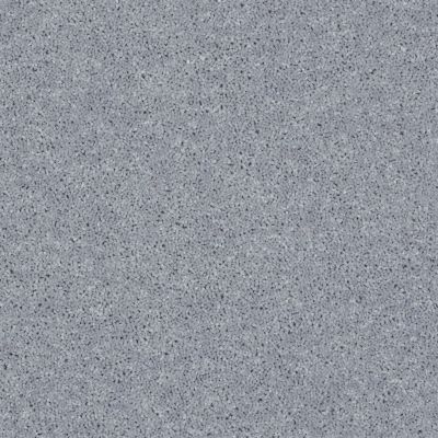 Shaw Floors SFA Take Part 12 Dolphin 00541_0C010
